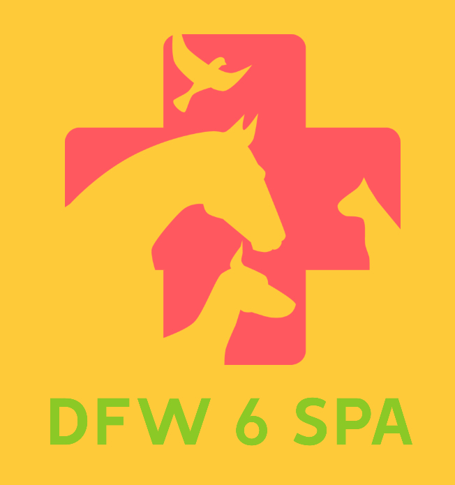 DFW 6 Spa | Southlake Massage & Mobile Hotel Massage